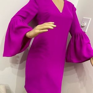 Beautiful Fuscia bell sleeve dress from BR!